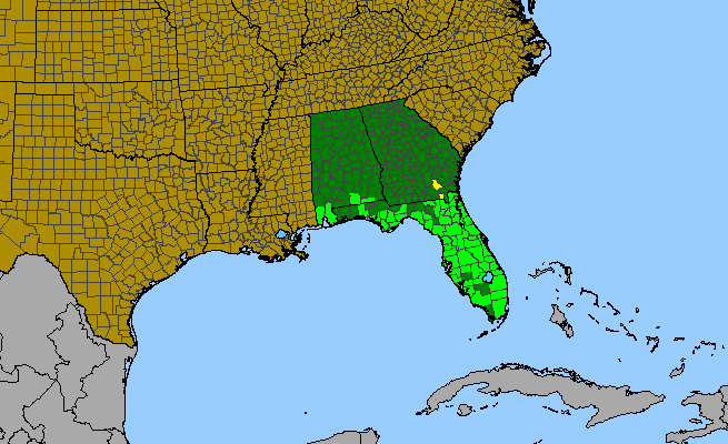 The range of Lobelia paludosa